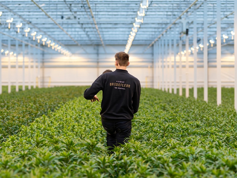 Bredefleur Kom in de Kas Groepsbezoek