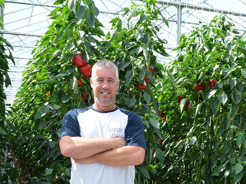 Numan Paprika Kom in de Kas Groepsbezoek