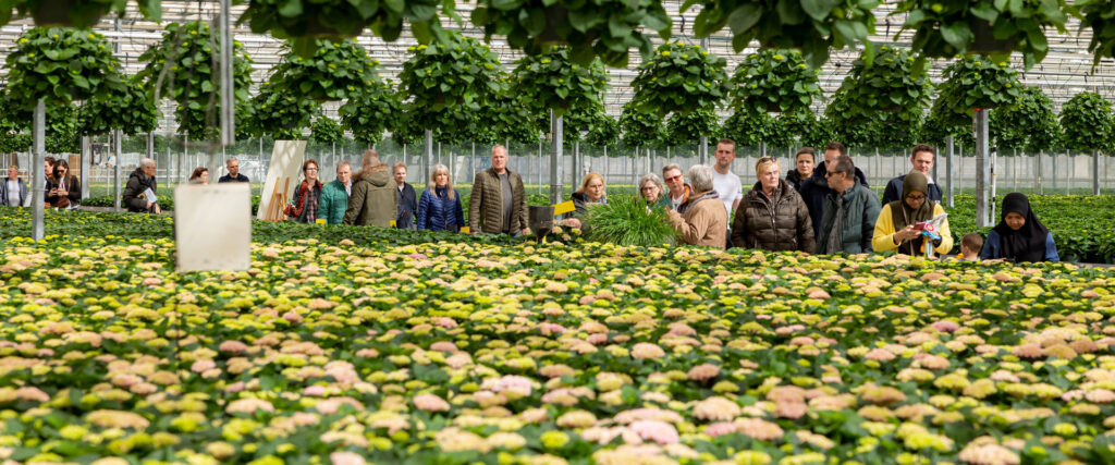 Kom in de Kas | Bezoek 6 en 7 april kassen door heel Nederland
