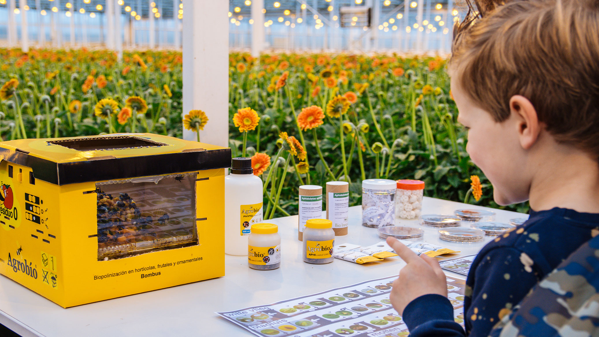 Glastuinbouw Dit ga je zien tijdens Kom in de Kas